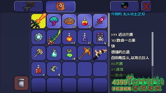 泰拉瑞亚战士顶级搭配