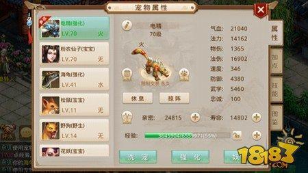 问道手游宠物怎么飞升 宠物飞升技巧解析