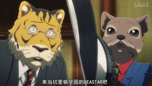 动物狂想曲羊驼是被谁杀的