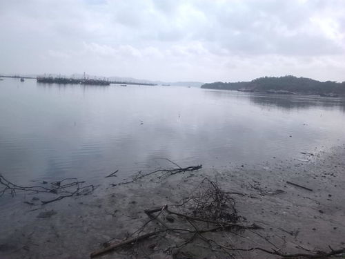 “移步换景”是什么意思?