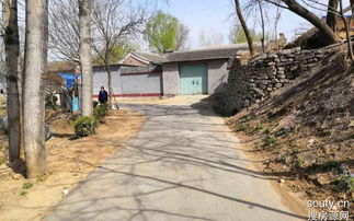 豹房是什么