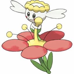 花蓓蓓，花蓓蓓进化顺序图