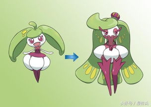 花蓓蓓可以与谁生蛋