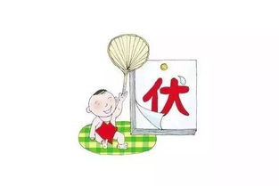 三伏天开启，三伏天开启没