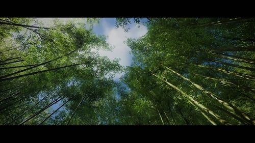 《对马岛之魂》ps4和ps5区别是什么?