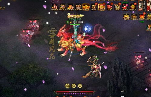 圣火明尊星石是什么