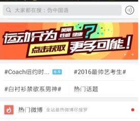新浪搜索，新浪搜索引擎网址