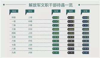 部队等级，部队等级 班长 排长 连长