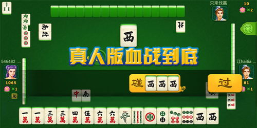 单机游戏打麻将,找一个单机游戏,是关于打麻将的里面