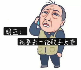 是的是的，是的是的是什么意思啊