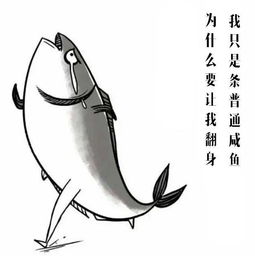 咸鱼是什么意思 咸鱼意思简述