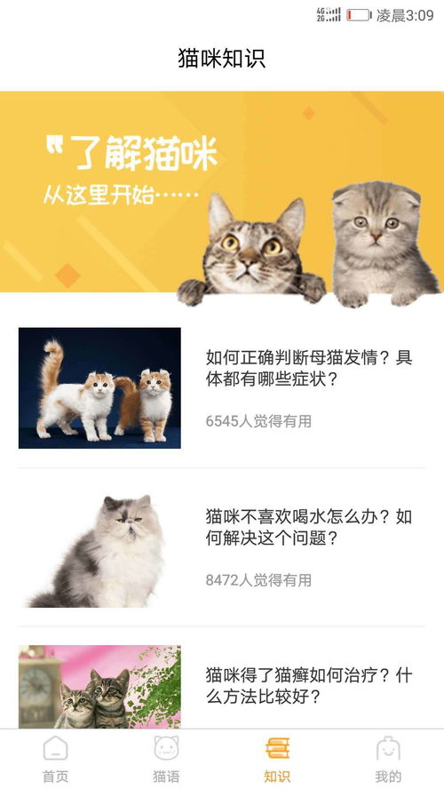 和猫咪对话的软件