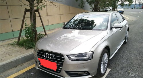 奥迪双钻我的伙伴，奥迪双钻我的伙伴什么意思