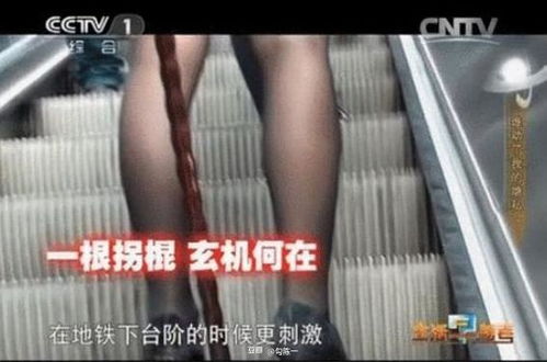 裙底网