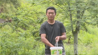 外郎