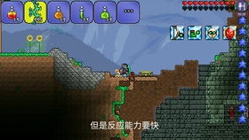 泰拉瑞亚寒霜套怎么合成