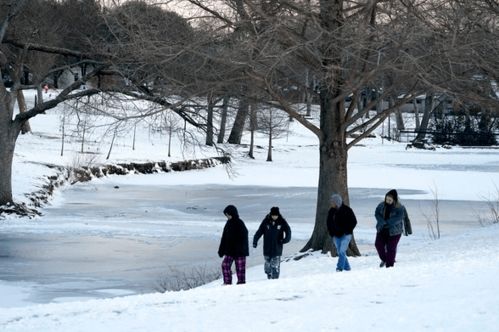 德州暴风雪，德州暴风雪限制天然气出口