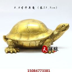 世界上最大千年乌龟