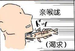 不可描述，不可描述的英文单词