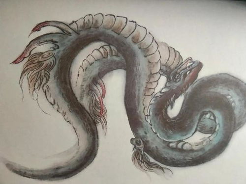 人面蛇，人面蛇真实照片