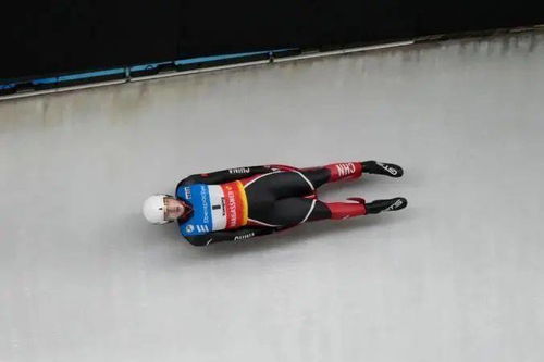 在雪地里拉雪橇的狗是什么品种?