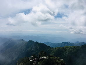 八山是什么品牌