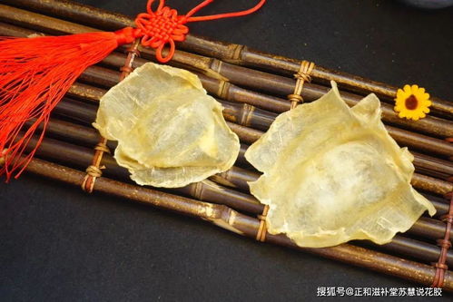 人工合成鱼胶图片，人工合成鱼胶图片 真假