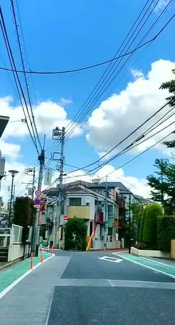 三岔路交通灯怎么看?