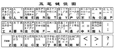 极品五笔输入法免费，极品五笔输入法官方免费下载