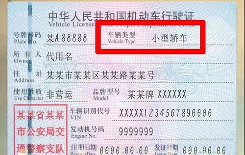 虐恋SM