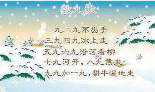 数九寒冬是什么意思?
