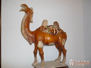 唐三彩骆驼，唐三彩骆驼俑