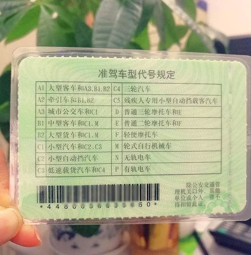 Sm什么意思