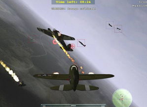 空中战斗，空中战斗pose