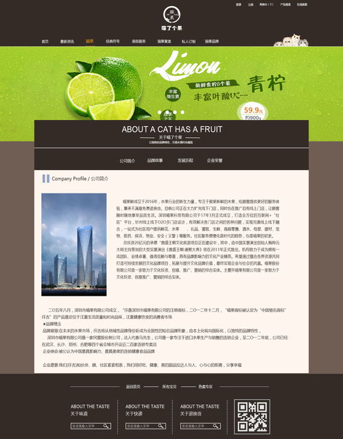 简述网页与网站的区别