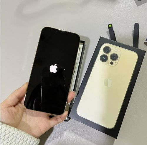 苹果iPhone 13 全系价格曝光:顶配售价将达新高