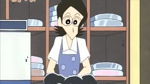 洗濯屋しんちゃん的翻译是:什么意思