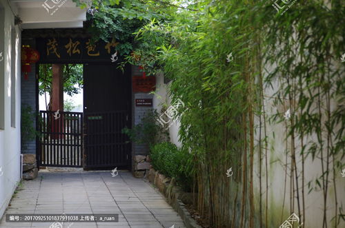 江南小院，江南小院赚钱下载