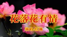 美人心计主题曲《落花》歌词