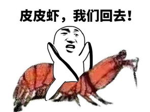 屑是什么梗
