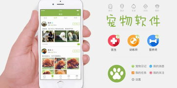 谁知道领养宠物的app
