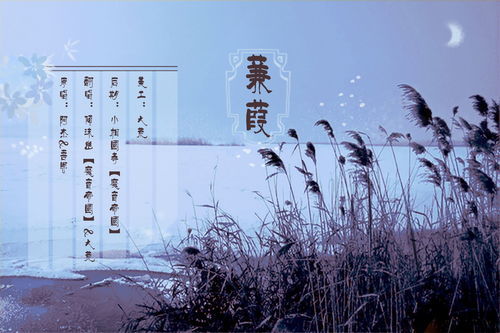 《蒹葭》(《诗经》)全文及翻译
