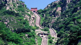 泰山在哪