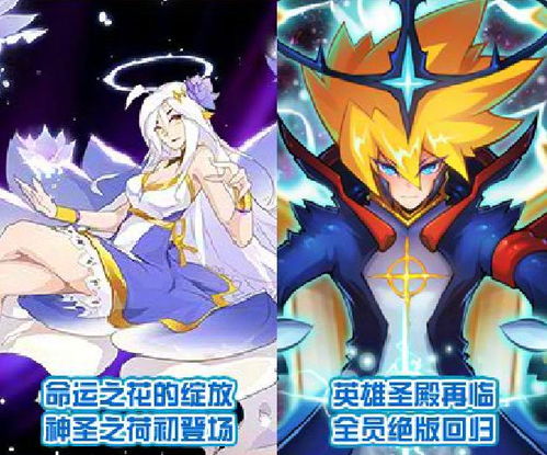 进化精灵王，小花仙进化精灵王