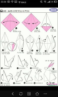 兔子怎么折?