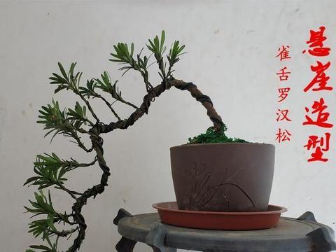 设计素描如何画破了的树桩
