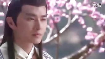 好女春华，好女春华电视剧剧情