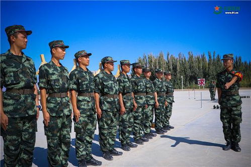 新兵的徽记，新兵的徽记是谁的突破材料