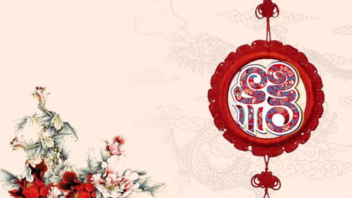 春节做什么，春节做什么英语