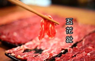 腱子肉是什么意思